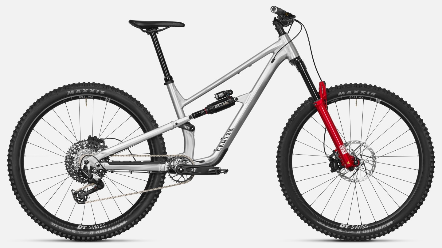 Canyon Spectral AL LTD Raw Brushed